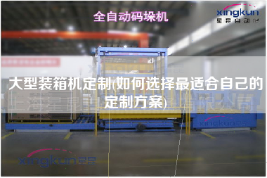 大型裝箱機定制(如何選擇z適合自己的定制方案)