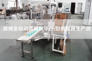 蘇州全自動裝箱機平臺(如何提高生產(chǎn)效率)