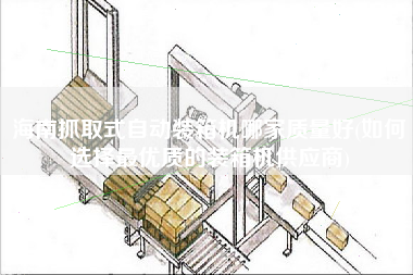 海南抓取式自動裝箱機哪家質(zhì)量好(如何選擇z優(yōu)質(zhì)的裝箱機供應(yīng)商)