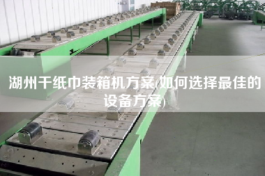 湖州干紙巾裝箱機方案(如何選擇z佳的設(shè)備方案)
