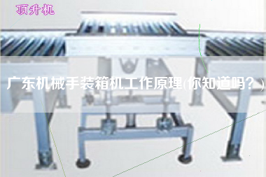 廣東機(jī)械手裝箱機(jī)工作原理(你知道嗎？)