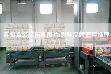 蘇州盒裝裝箱機(jī)圖片(哪些品牌值得推薦？)