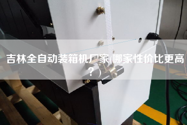 吉林全自動(dòng)裝箱機(jī)廠家(哪家性價(jià)比z高？)