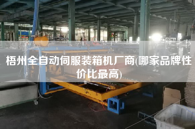 梧州全自動伺服裝箱機(jī)廠商(哪家品牌性價(jià)比z高)