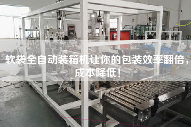 軟袋全自動(dòng)裝箱機(jī)讓你的包裝效率翻倍，成本降低！