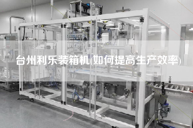 臺(tái)州利樂裝箱機(jī)(如何提高生產(chǎn)效率)