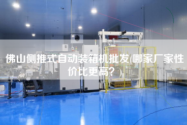 佛山側推式自動裝箱機批發(fā)(哪家廠家性價比z高？)