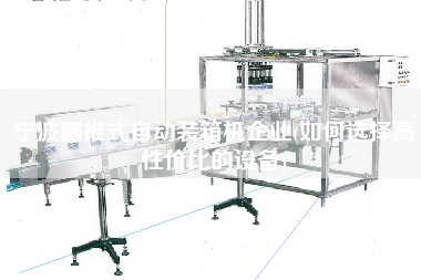 寧波側(cè)推式自動(dòng)裝箱機(jī)企業(yè)(如何選擇高性?xún)r(jià)比的設(shè)備)